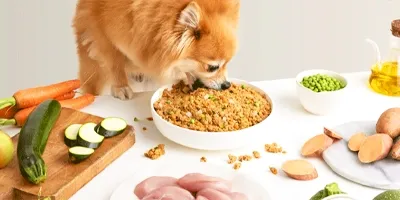 dogfy-diet-coupon-del-30-su-box-prova-10-su-abbonamento