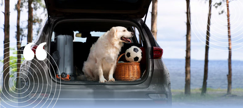 vacanze-con-il-cane
