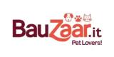 BauZaar